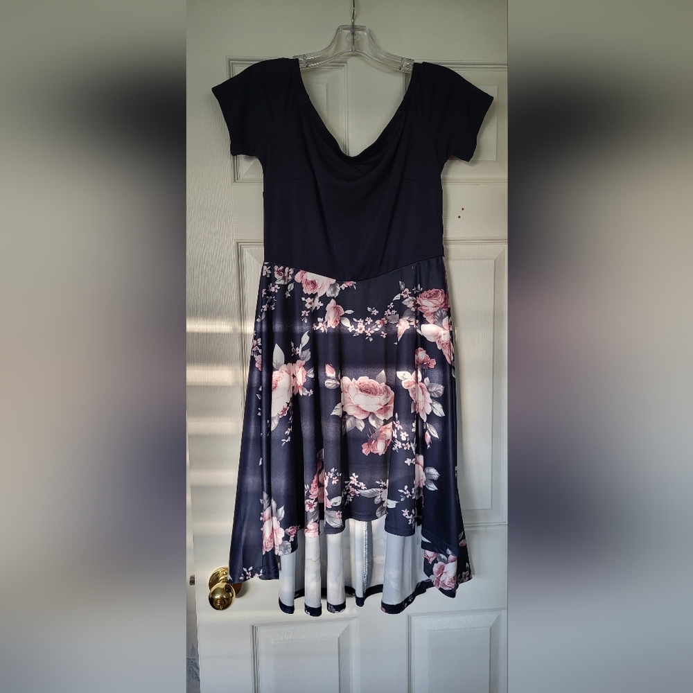 Size: L floral and navy blue dress ordered off Amazon.com